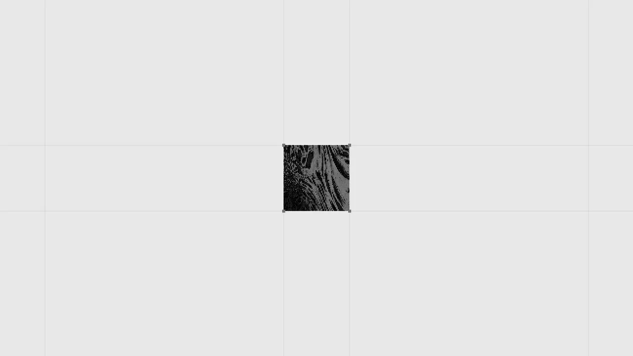 Shade - Duplicate Detect — frame 12